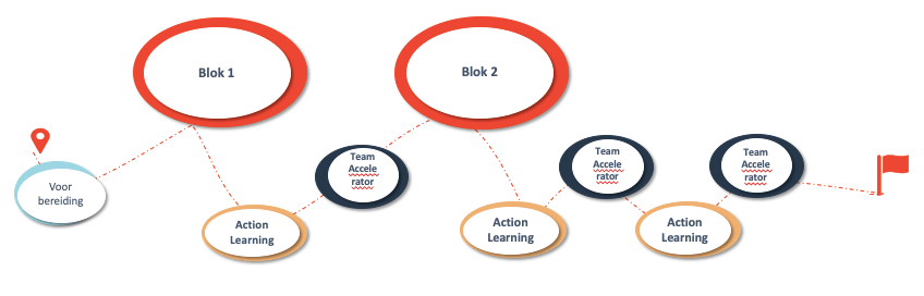 Programma Leading High Performing Teams | VDS