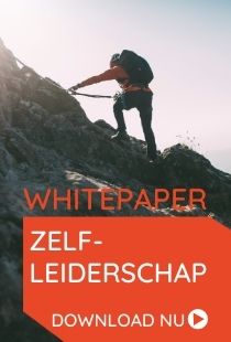 Vds training consultants whitepaper zelfleiderschap