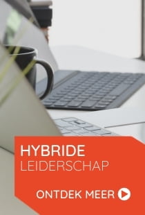 VDS training consultants programma hybride werken