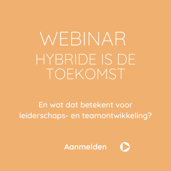 Vds training consultants webinar hybride organisatie