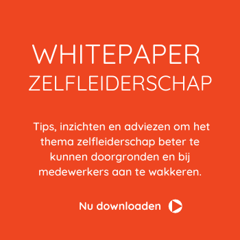 Vds whitepaper zelfleiderschap4